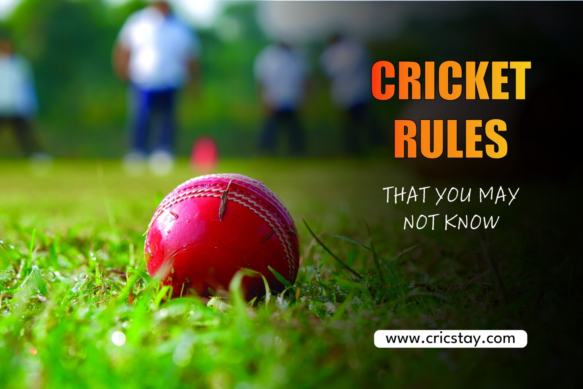 Cricket Rues Cricket Rules in Hindi | क्रिकेट के नियम